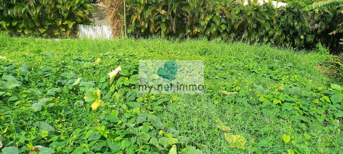 Terrain à LE FRANCOIS