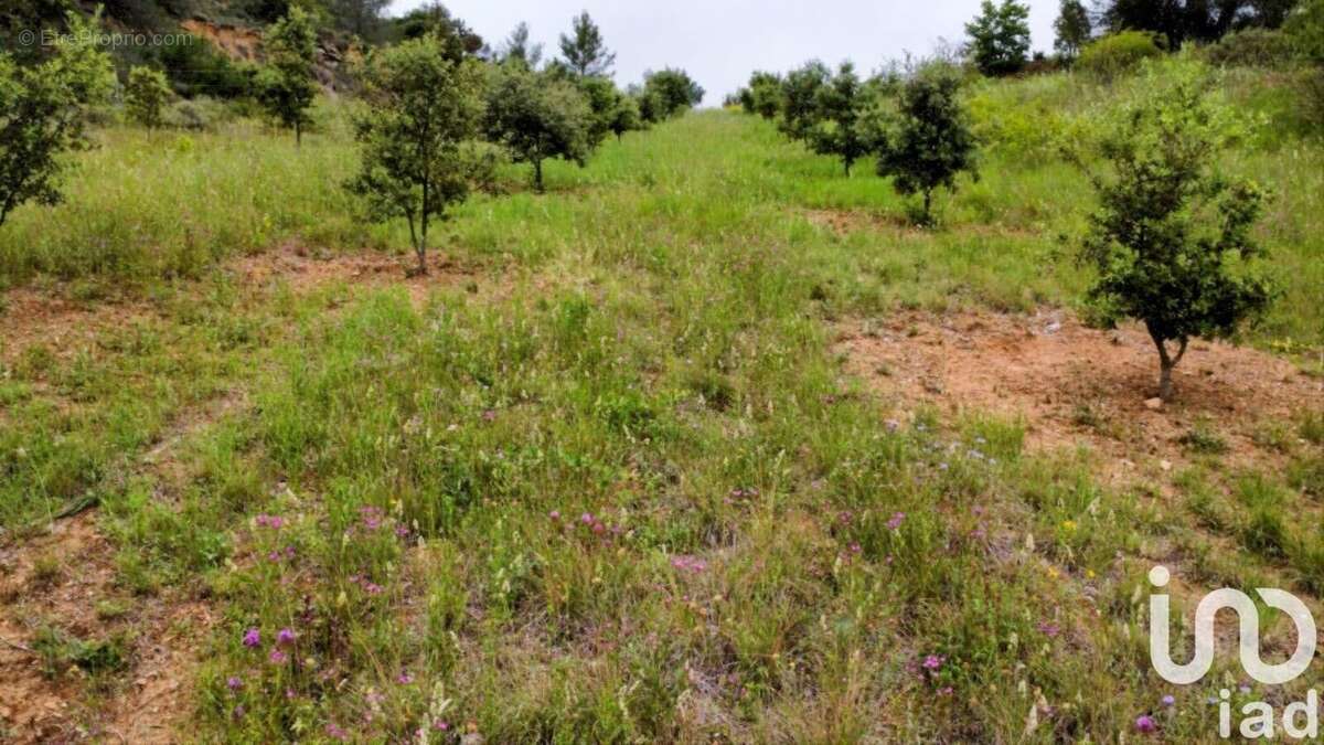 Photo 2 - Terrain à CASTELRENG