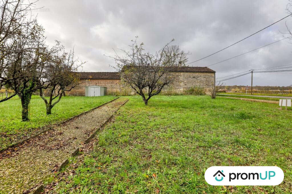 Terrain à BOUTIERS-SAINT-TROJAN