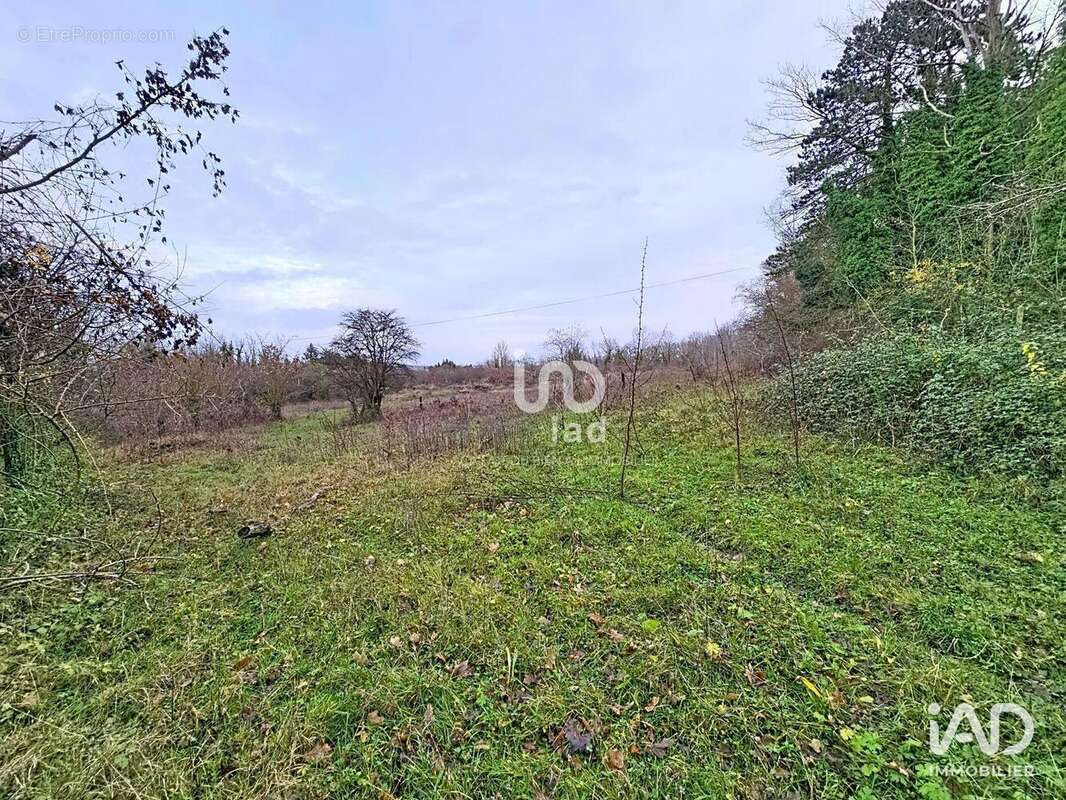 Photo 9 - Terrain à SAGY