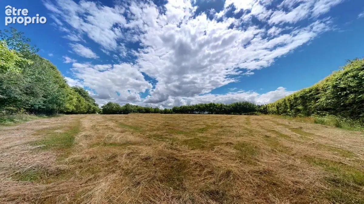 Maison-5 pièces-10 hectares - photo 28