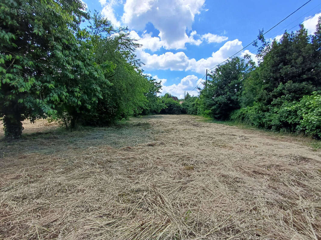 Photo 2 - Terrain à MOUZEUIL-SAINT-MARTIN