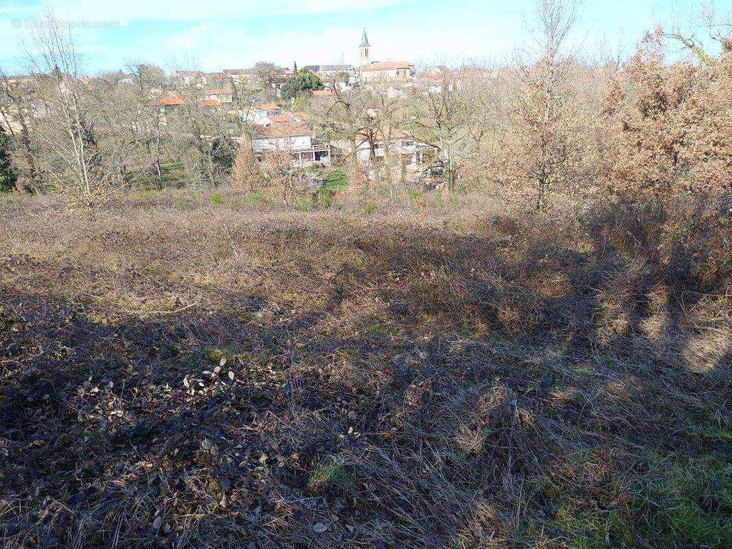 Terrain à MIRANDOL-BOURGNOUNAC