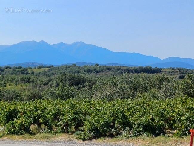 Terrain à TRESSERRE