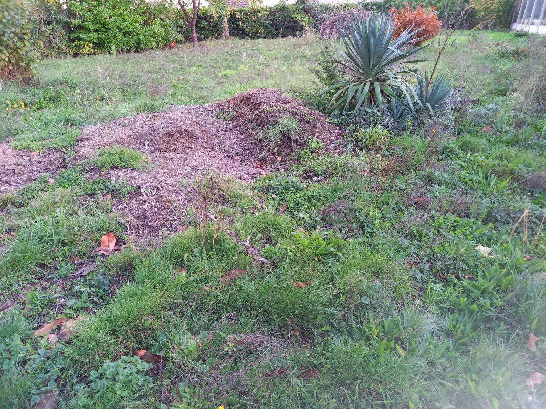 Terrain à CARBON-BLANC