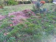 Terrain à CARBON-BLANC