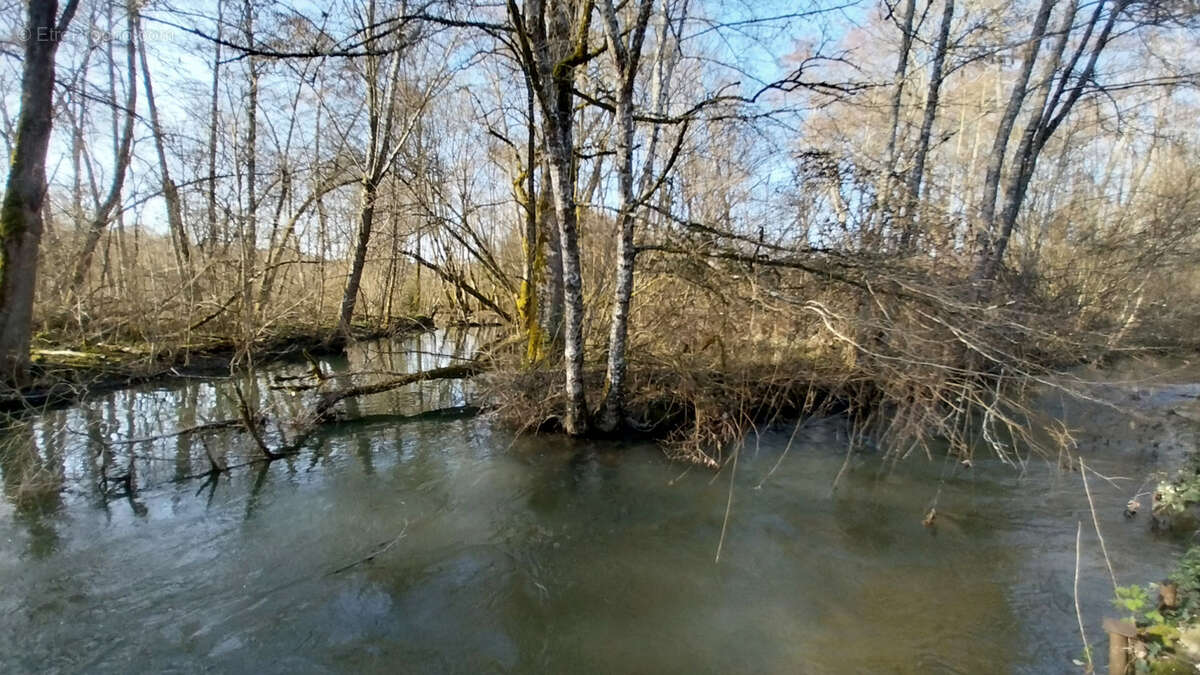 Maison à CHATEAU-L'EVEQUE