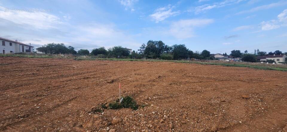 Terrain à CUNAC