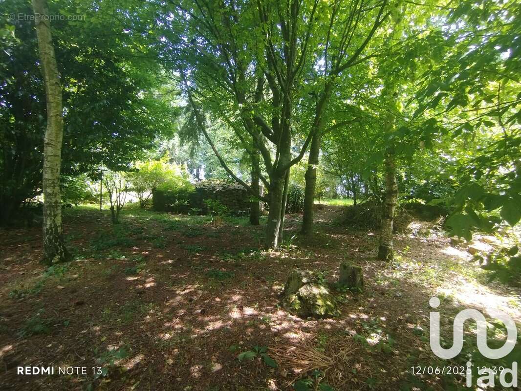 Photo 4 - Maison à OUCQUES