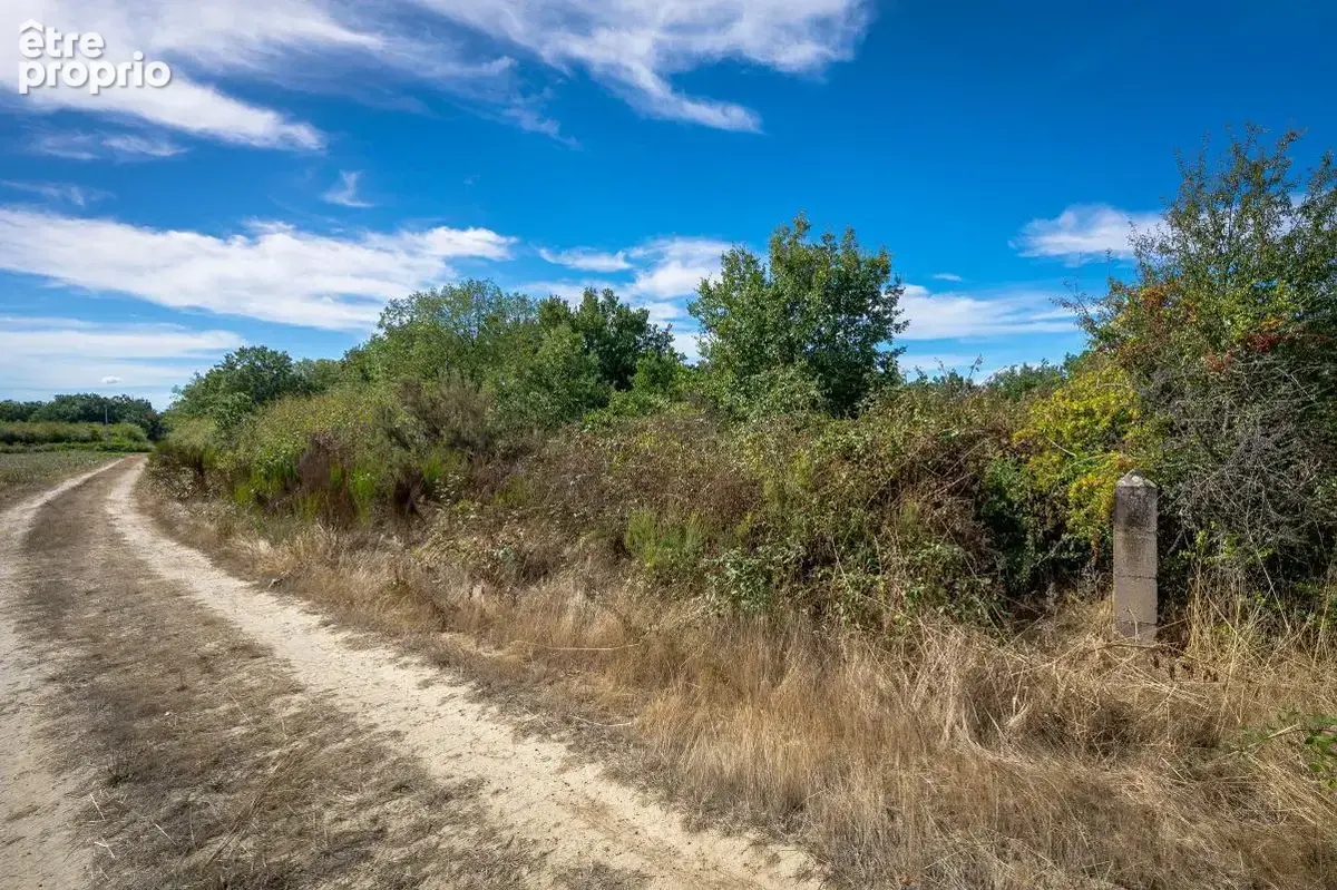 Terrain - 26 610 m² - Aussonne (31) - photo 7
