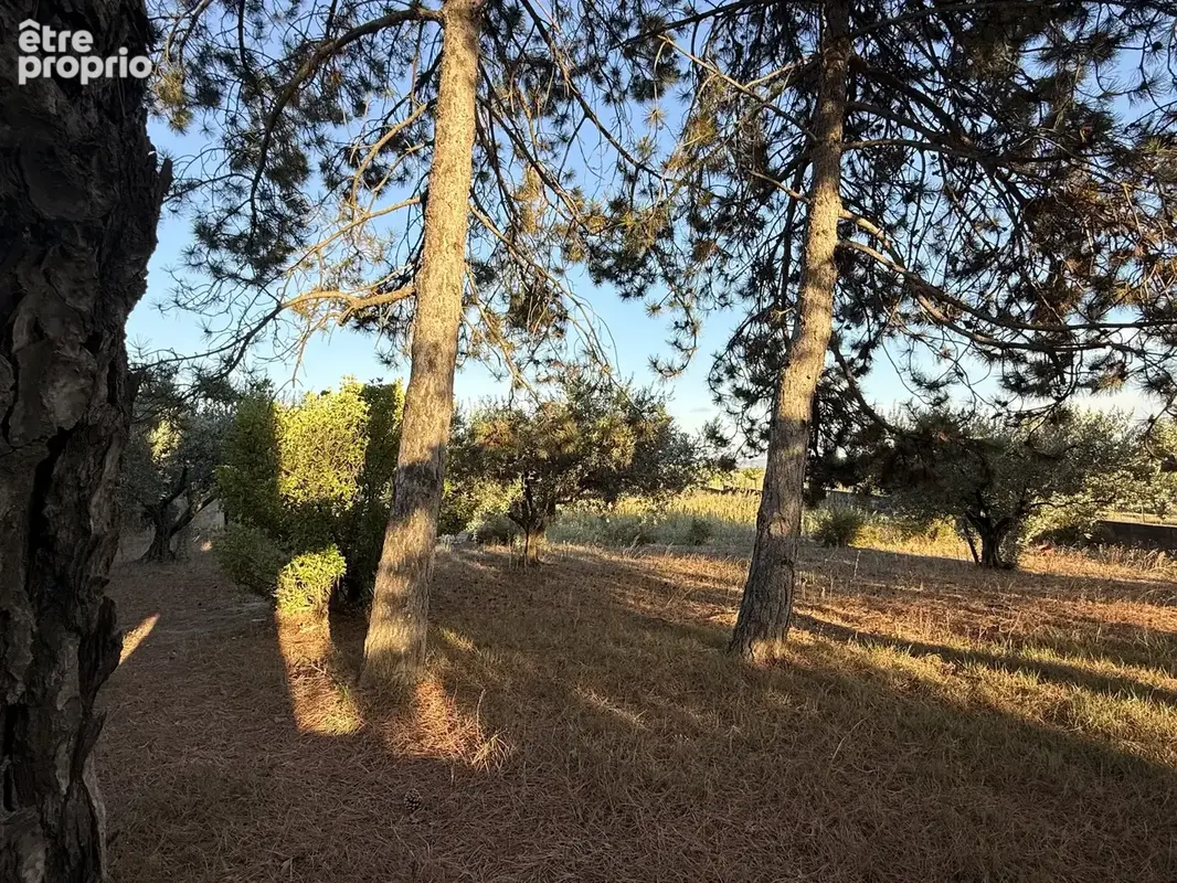 Villa T6 de 121m2 en campagne - photo 11