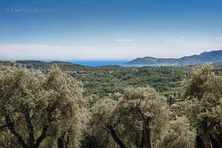 Prestigieuse Propriété à Chateauneuf de Grasse - photo 27