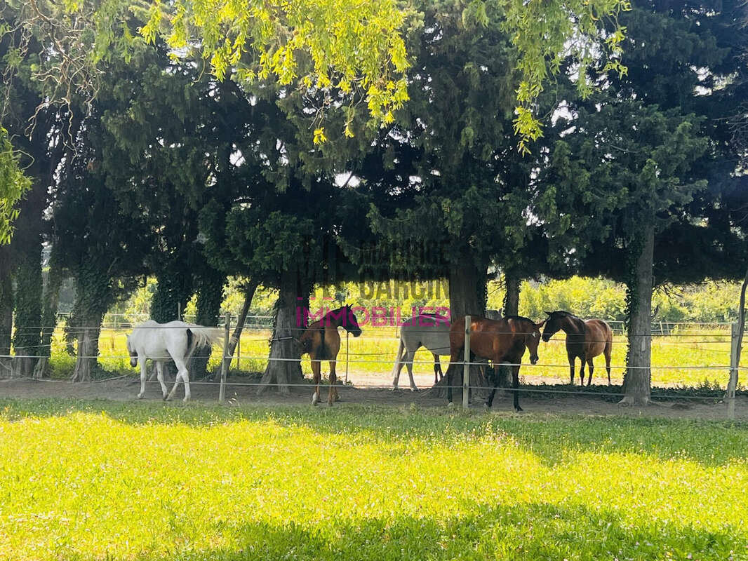 Maison à CHATEAURENARD