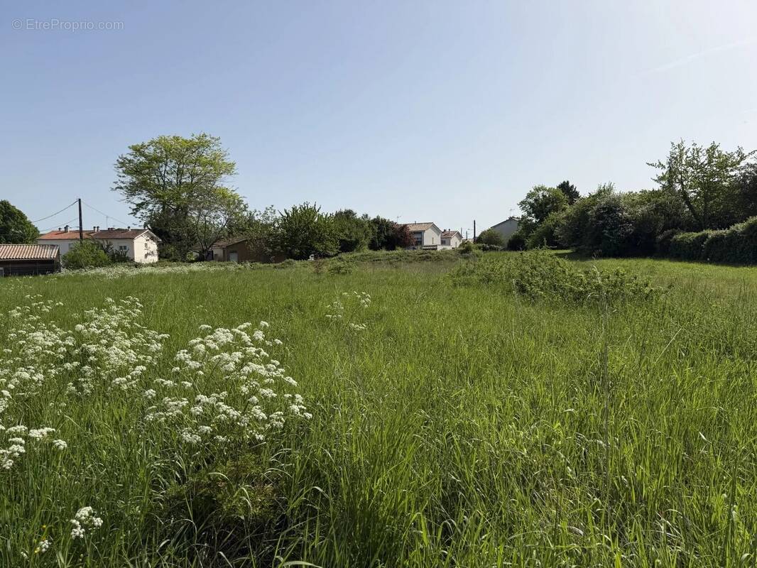 Terrain à BLAYE