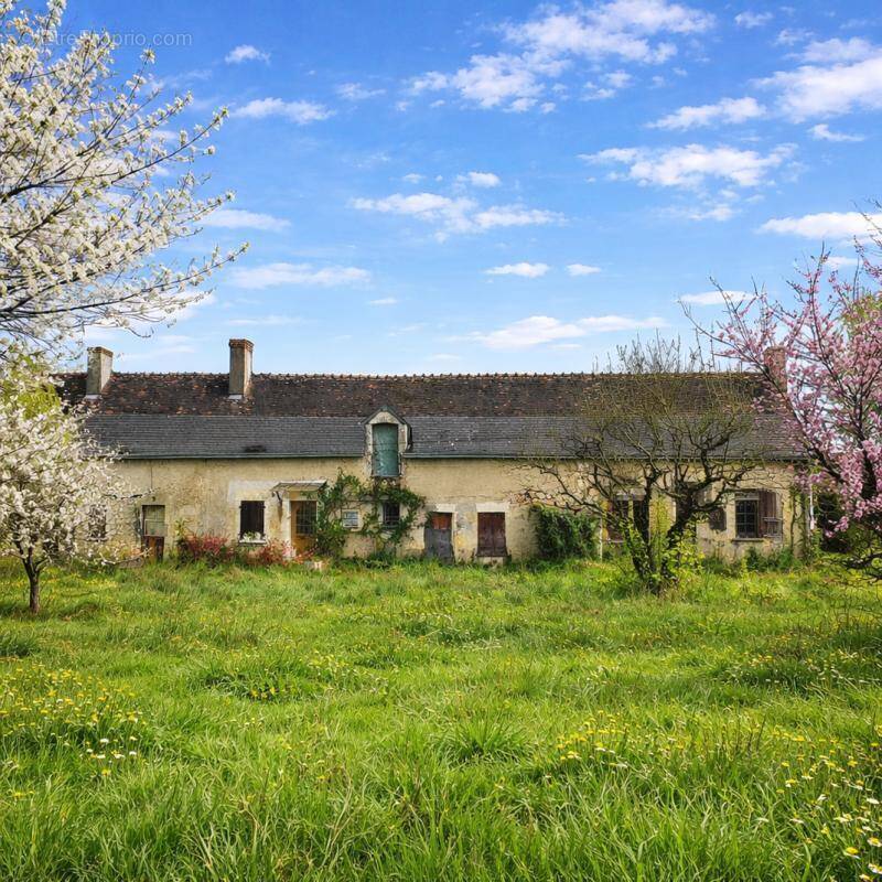 Maison à NEUILLE-PONT-PIERRE