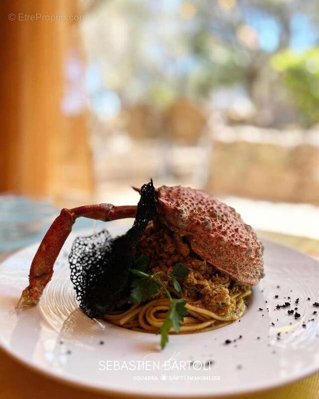 Photo 2 - Commerce à SAN-GAVINO-DI-CARBINI