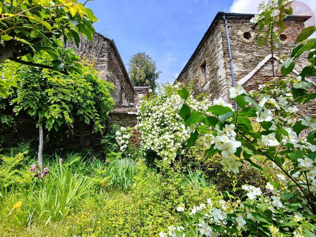 Authentique Mas cévenol en pierre avec vue dégagée - photo 17