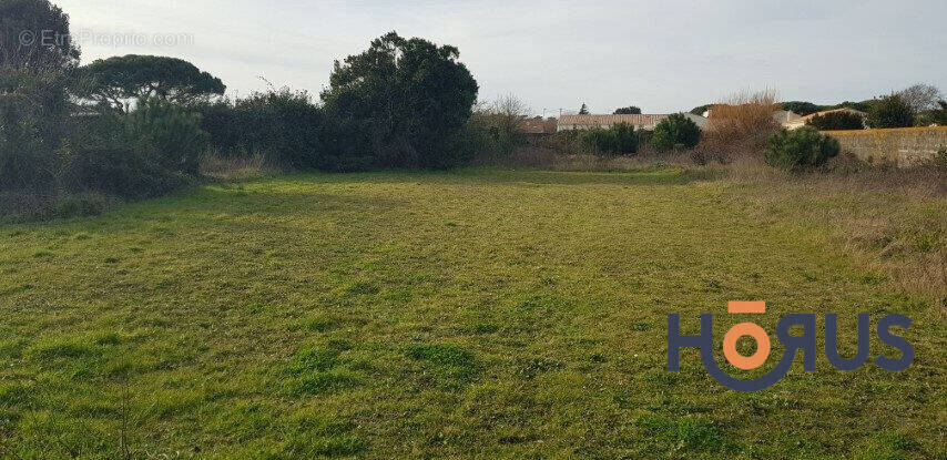 Terrain à SAINT-PIERRE-D&#039;OLERON