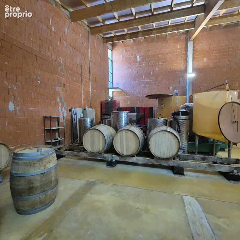 Domaine viticole - photo 14