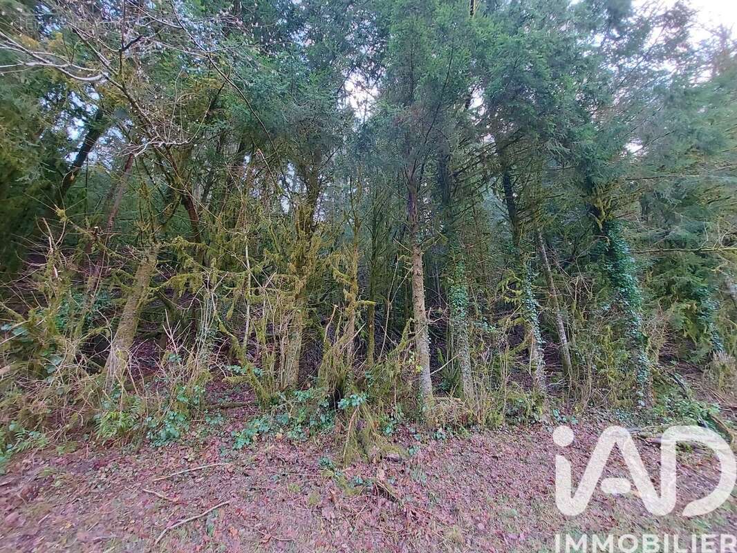 Photo 5 - Terrain à NANCUISE