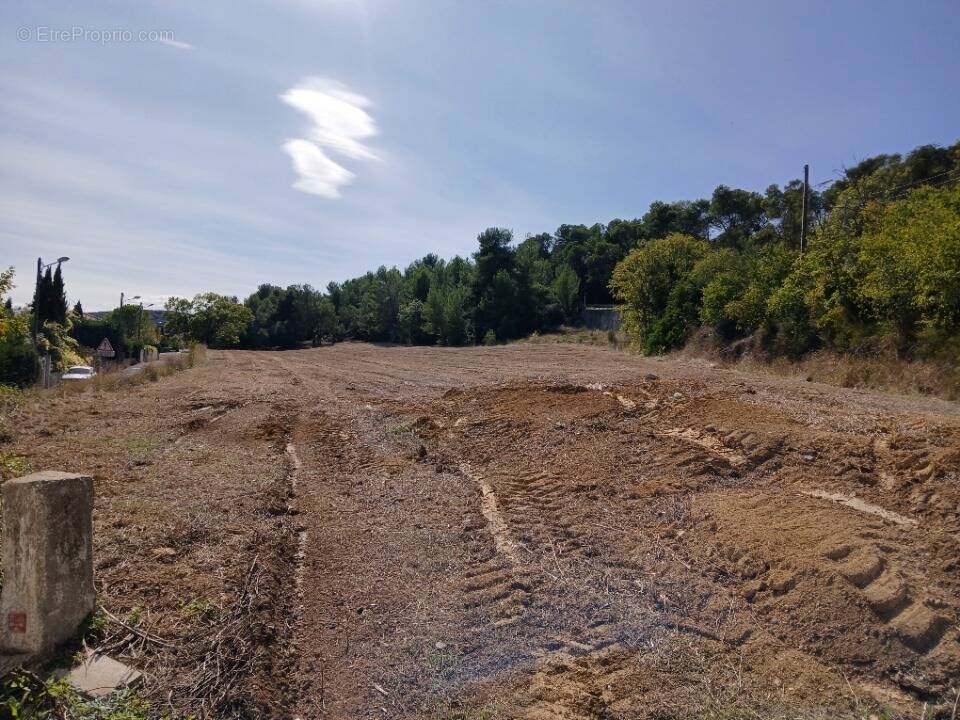 Terrain à MONTARNAUD