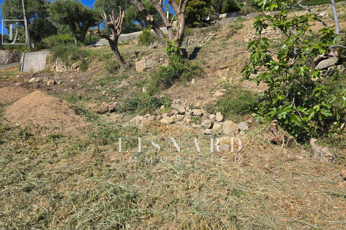 Terrain à VALLAURIS