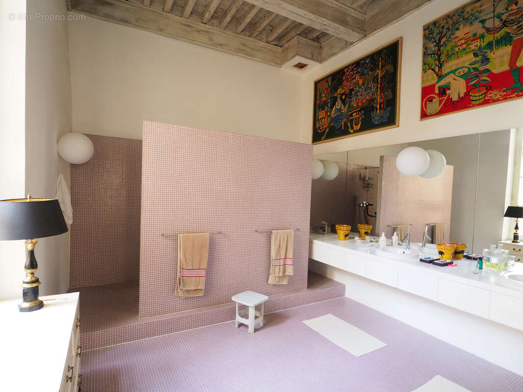 Hotel Particulier Arles centre-ville - photo 13