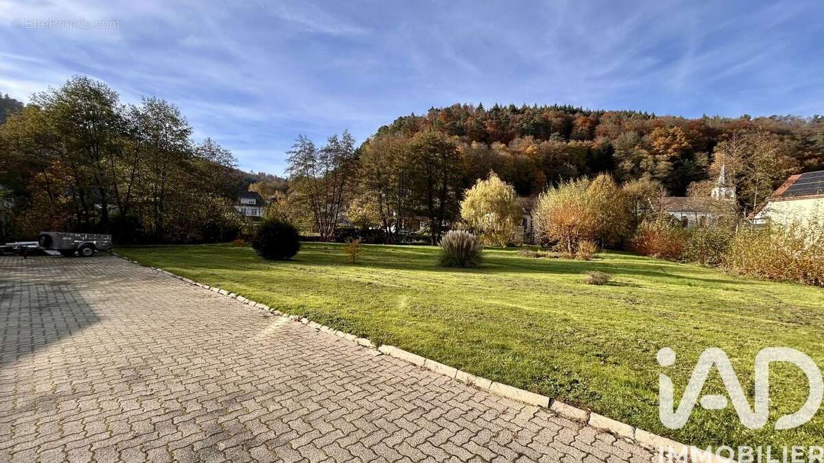 Photo 5 - Appartement à LUTZELBOURG