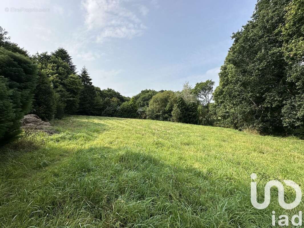 Photo 9 - Maison à PLOUNEVEZ-MOEDEC