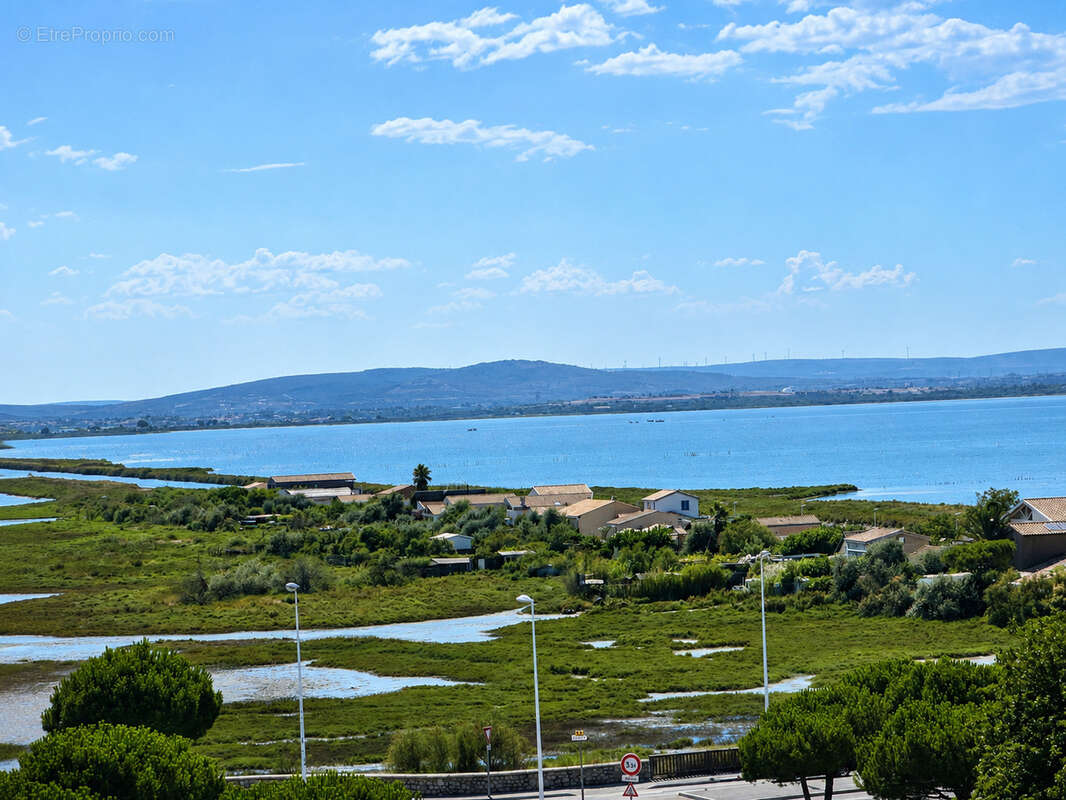 Carnon beau studio renove - terrasse - parking - vue mer et etangs - photo 2