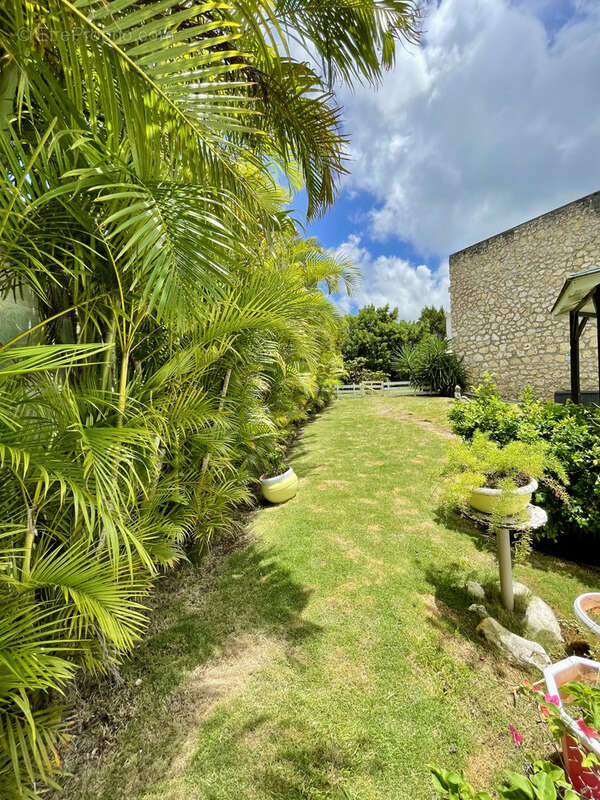 Magnifique propriete t5 + appartement t2 avec piscine vue mer centre du gosier - photo 39