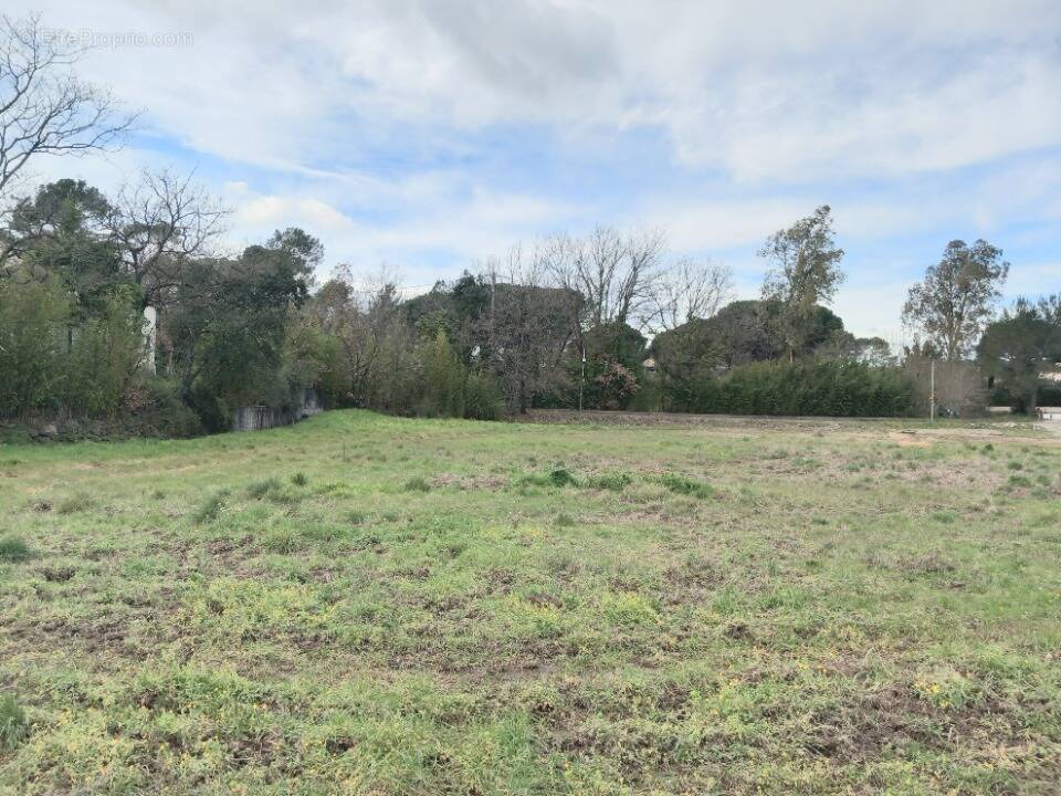 Terrain à PUGET-SUR-ARGENS