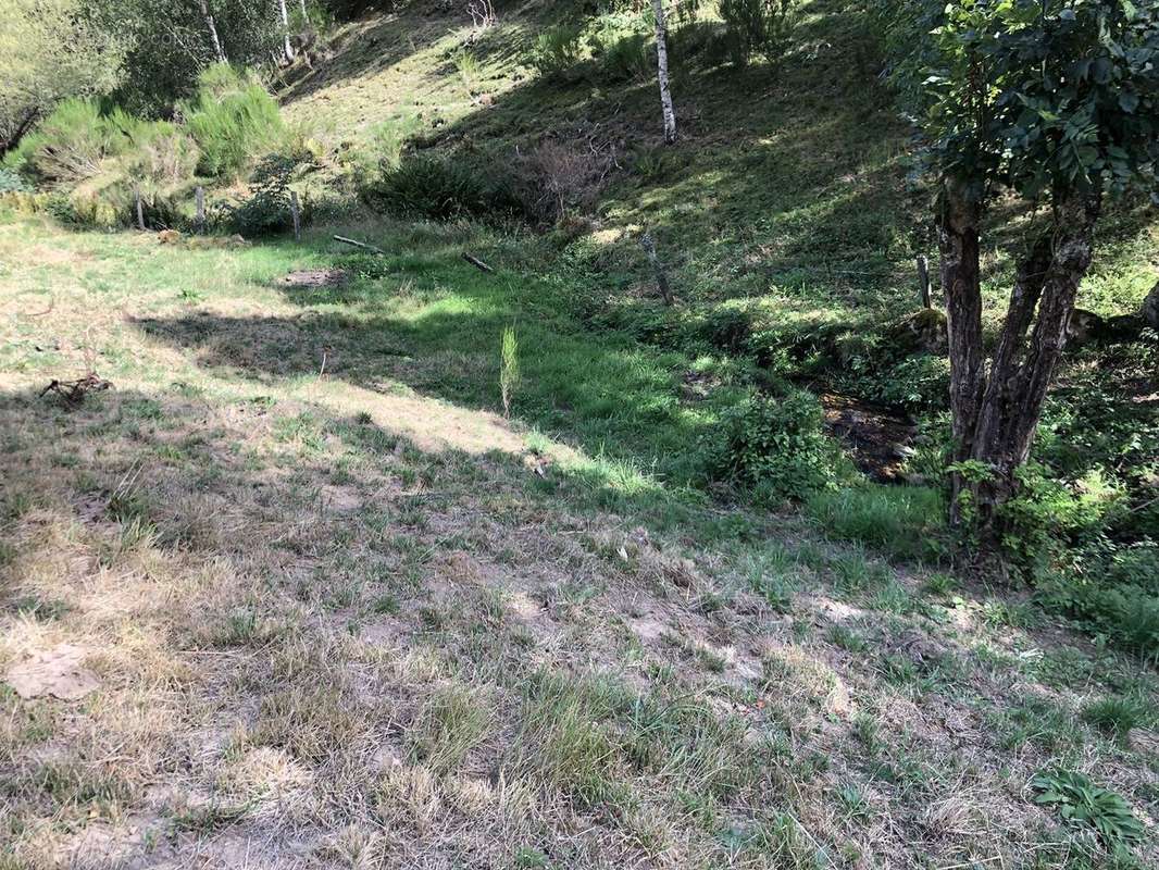 Terrain à LES BESSONS