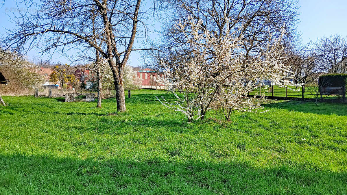 Maison à FECHE-L'EGLISE