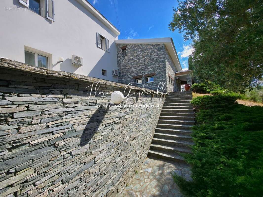 Maison à SAN-MARTINO-DI-LOTA