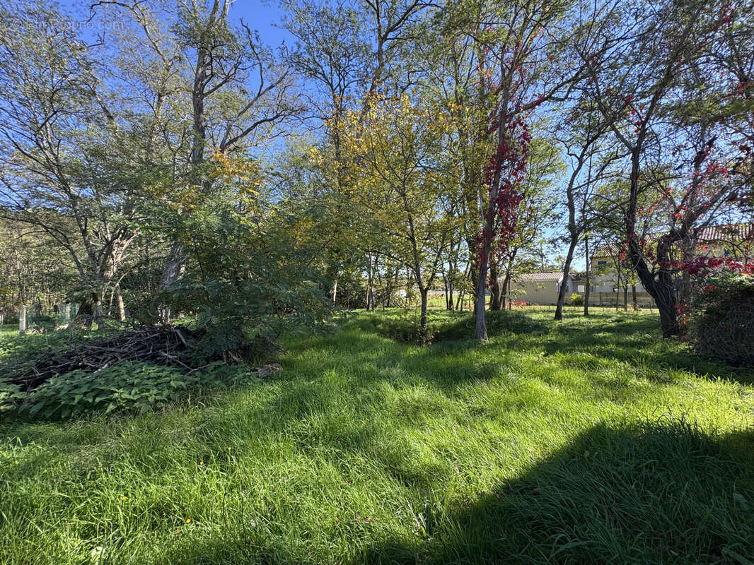Terrain à SAINT-YZAN-DE-SOUDIAC