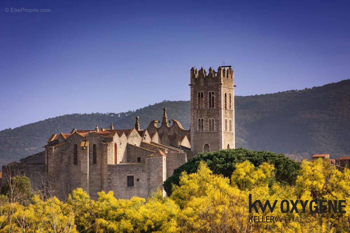 Terrain à ILLE-SUR-TET
