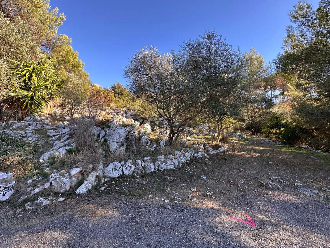 Terrain à DRAP