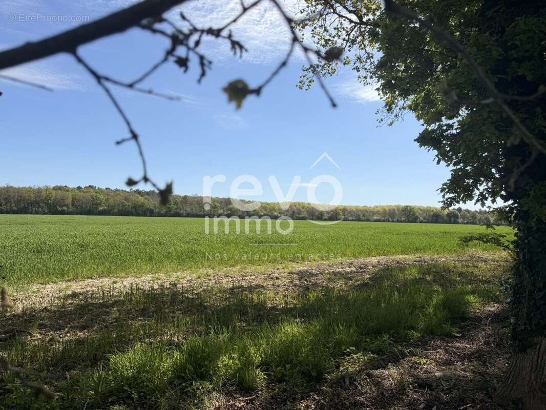 Maison à LA COPECHAGNIERE