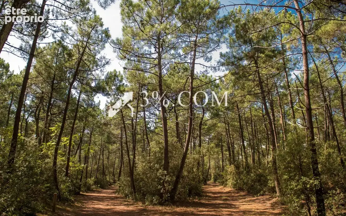 Terrain constructible viabilisé de 843 m2 - photo 11