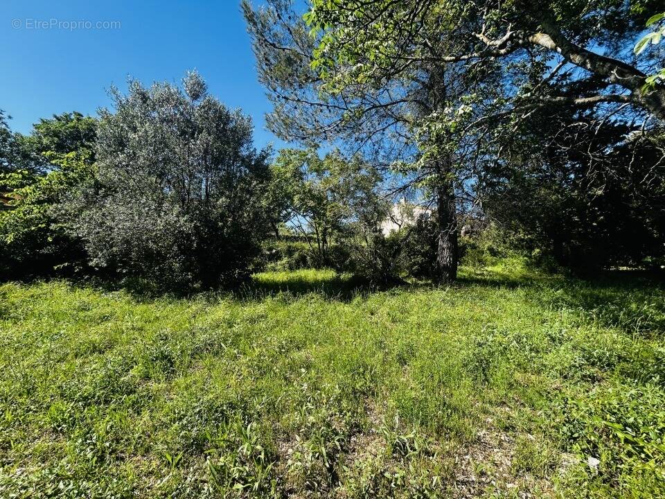 Terrain à DRAGUIGNAN