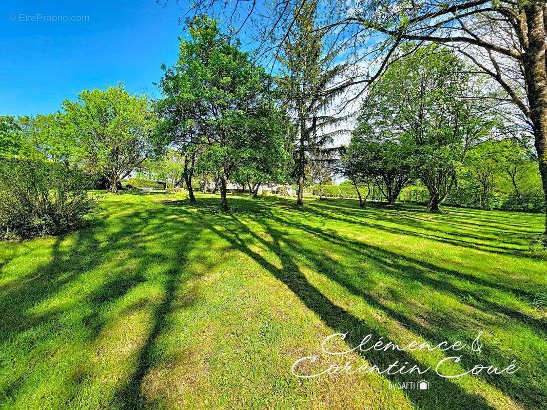 Maison à SAINT-MARS-LA-JAILLE