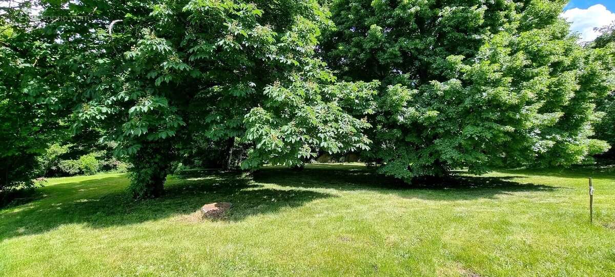 PROPRIETE AUTHENTIQUE   composée d' une maison familiale  et  de dépendances sur 10 HA . * - photo 21