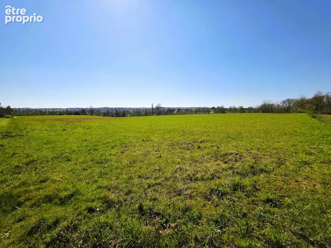 Vente Terrain Agricole Proche Monségur - photo 5