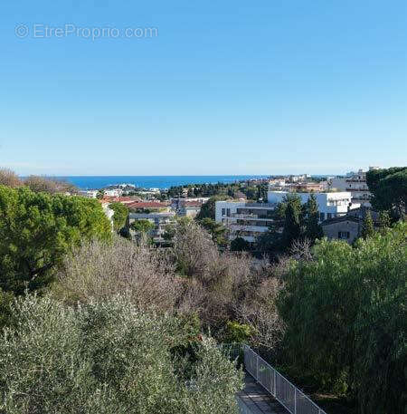 Appartement 4P Duplex  Vue mer - Solarium 104m2 - Résidence neuve - photo 5