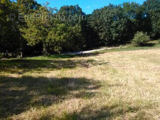 Terrain à SAINT-POMPONT