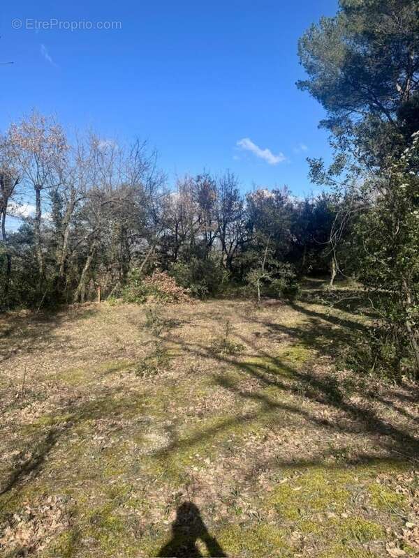 Terrain 800 m² à La Roque-D'antheron  - photo 2