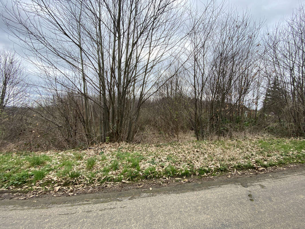 Terrain à SAINT-PARDOUX-L'ORTIGIER