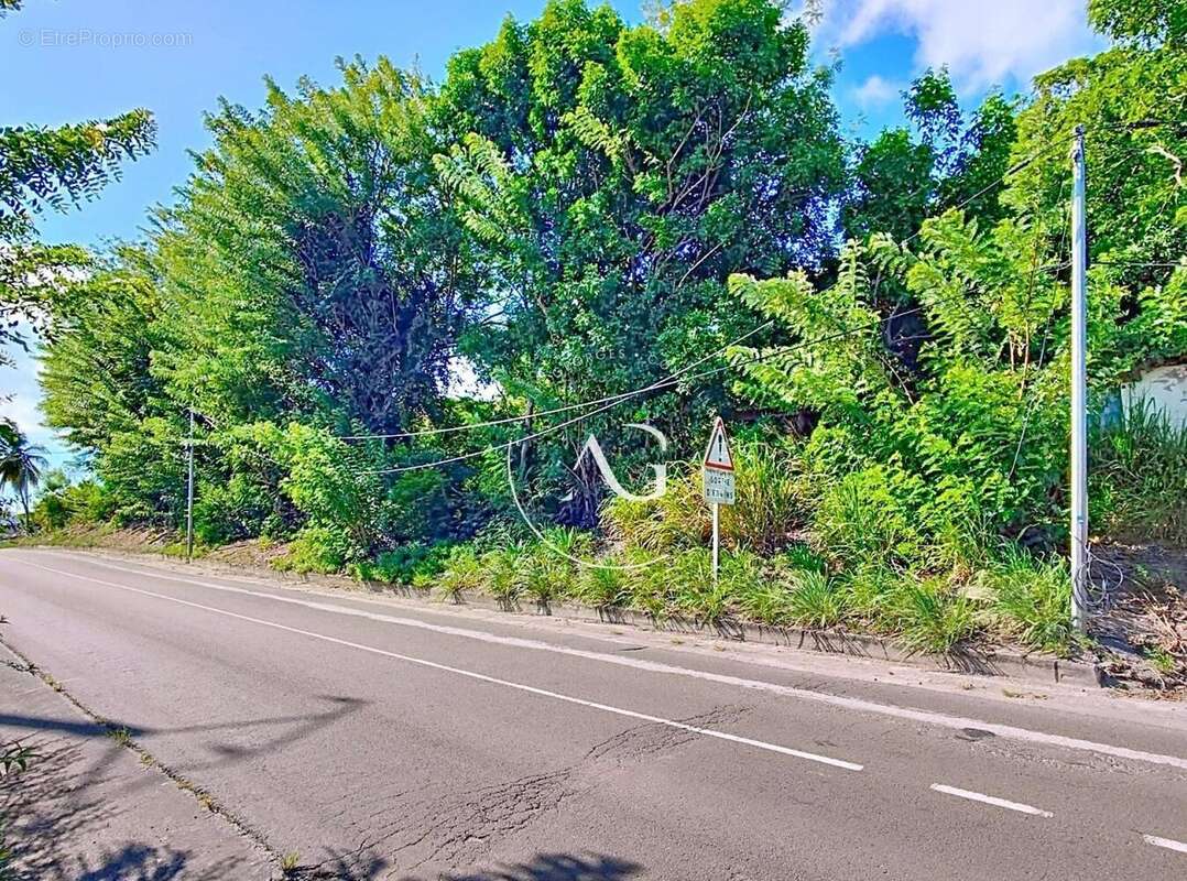 Photo 4 - Terrain à SAINT-PIERRE