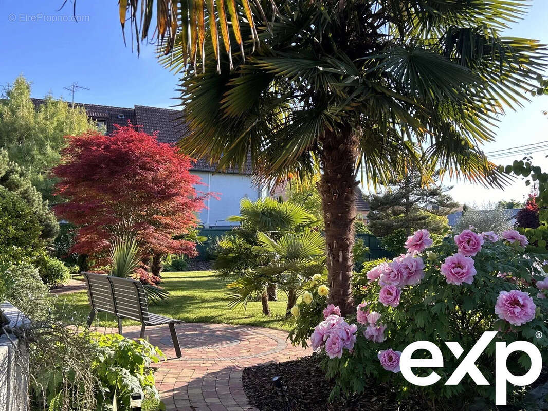 Maison à LA WANTZENAU